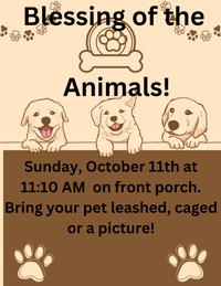 Blessing of the Animals